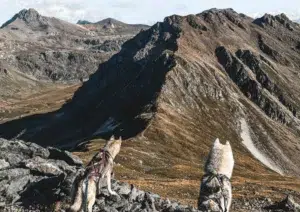 fitkey randonnée valais