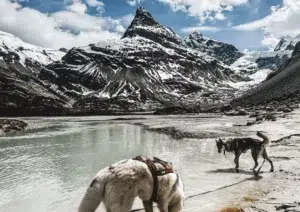 fitkey randonnée valais