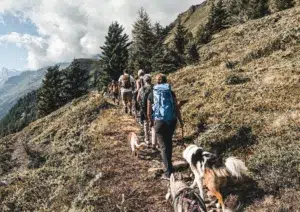 fitkey randonnée valais