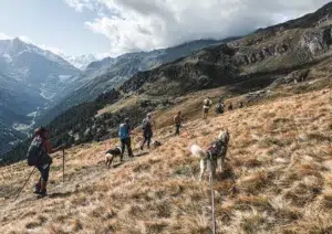 fitkey randonnée valais